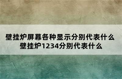 壁挂炉屏幕各种显示分别代表什么 壁挂炉1234分别代表什么